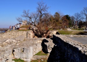 Bel achtundzwanzig