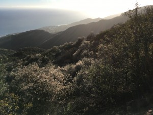 Kröger Foto Santa Monica Mountains