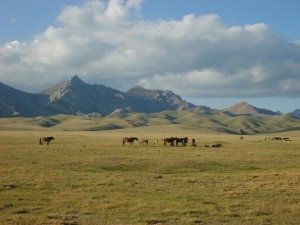 Meike Kröger Berglandschaft mit Pferden