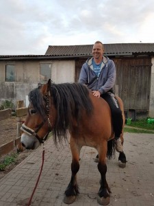 Ronny Ostwald Pferd neu